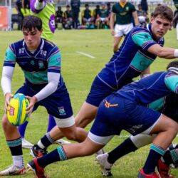 33896e71-82a1-41b9-a684-7bc05372abe2 33896e71-82a1-41b9-a684-7bc05372abe2