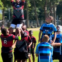 Screenshot Screenshot